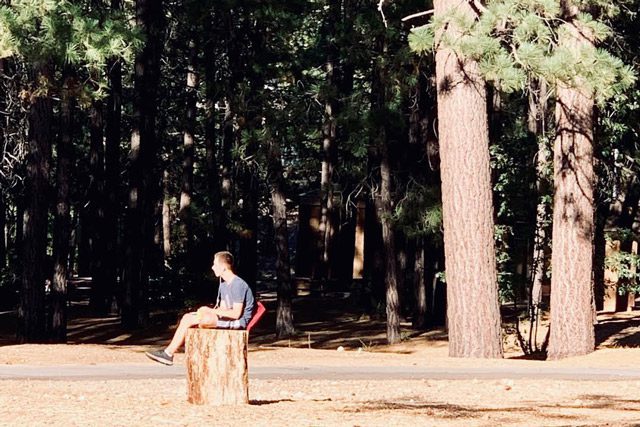 boy sitting on tree stump outside